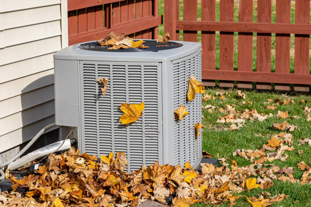 Best HVAC air duct cleaning  in Douglas, GA